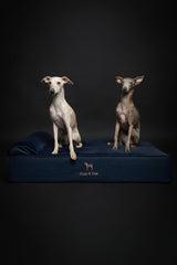 NOAH & PAW cama grande: capas múltiples brindan soporte ortopédico estable.