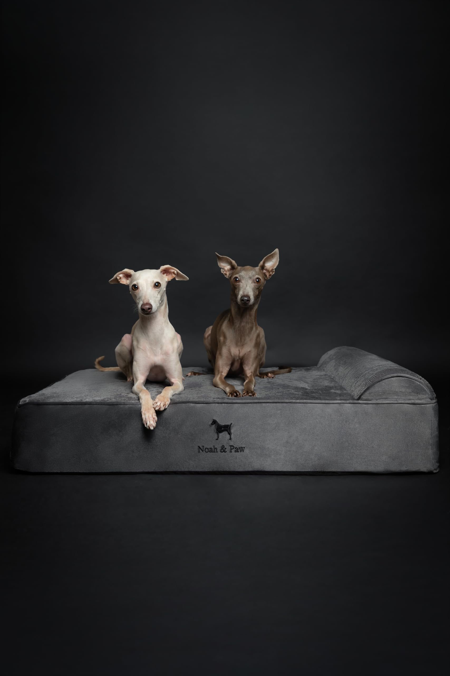 Funda exterior lavable de la cama NOAH & PAW para perro grande
