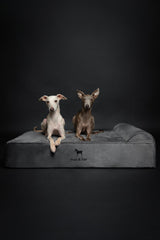 Funda exterior lavable de la cama NOAH & PAW para perro grande