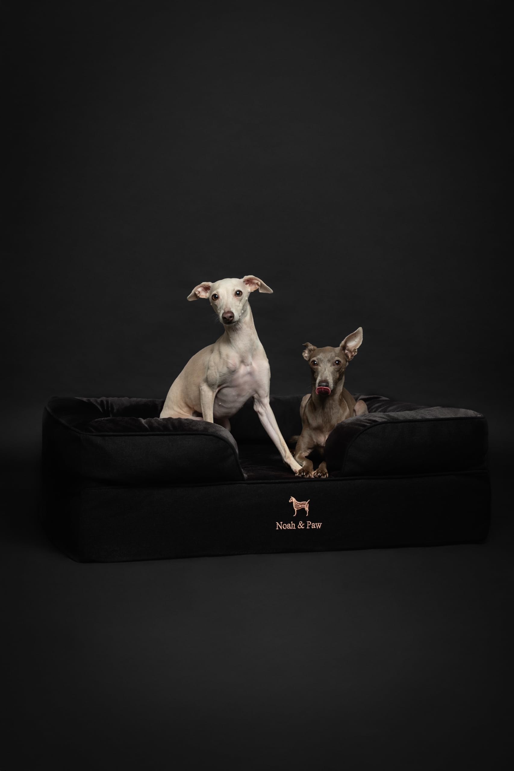 NOAH & PAW tejido denim suave de la colección Denim Sofa