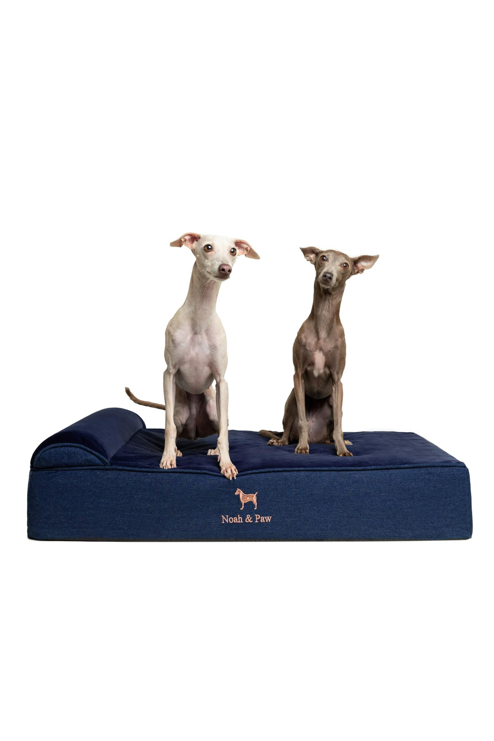 NOAH & PAW cama grande para perros: espuma memoria con gel enfriante para confort duradero.