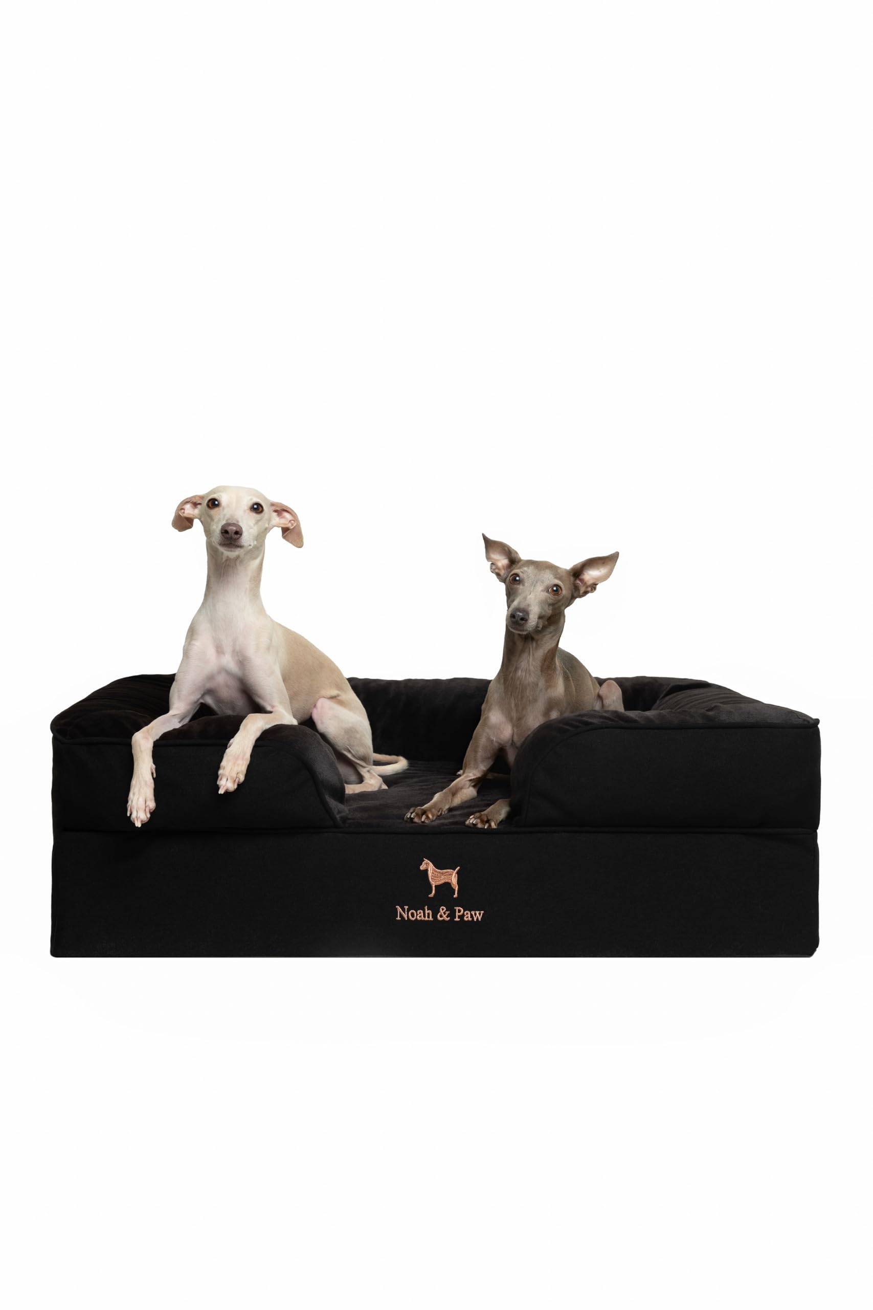 NOAH & PAW cama para perro grande con espuma ortopédica para soporte diario
