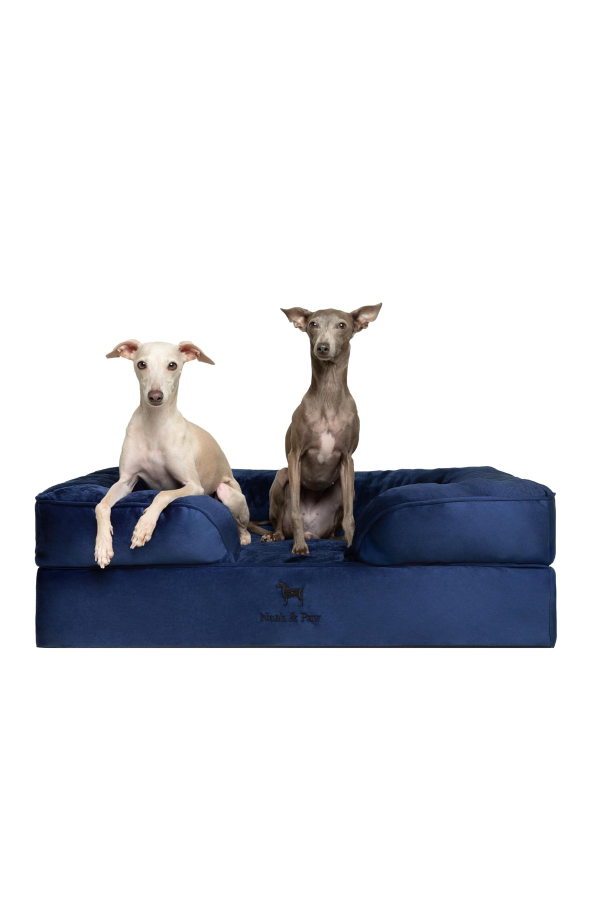 Cama NOAH & PAW con exterior de velvet para perros grandes