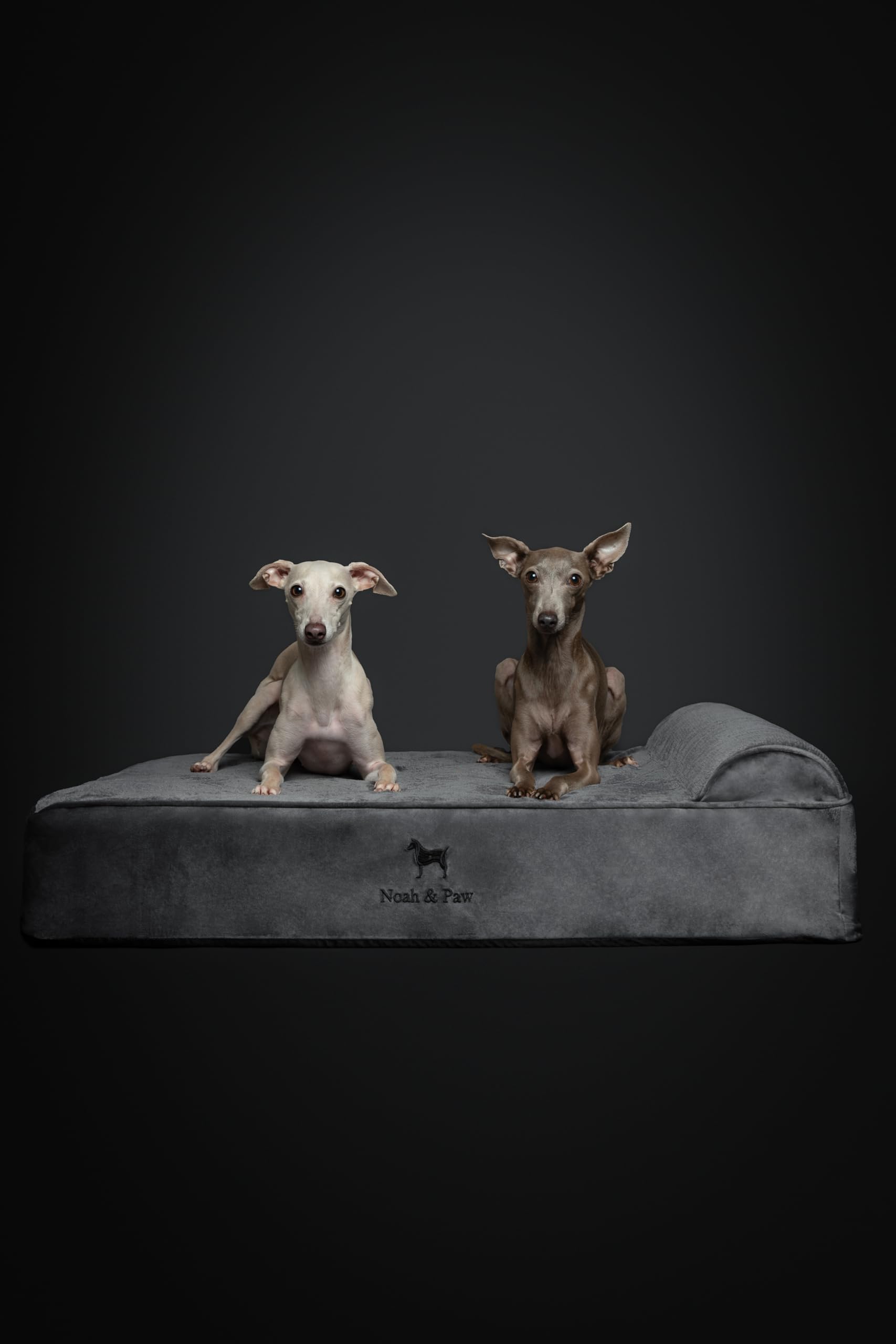 Funda doble lavable para cama NOAH & PAW