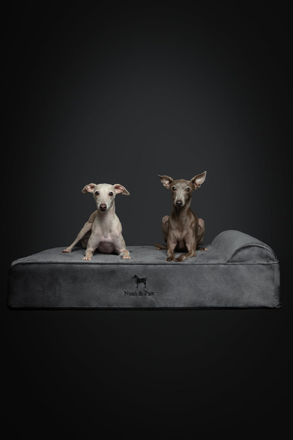 Funda doble lavable para cama NOAH & PAW