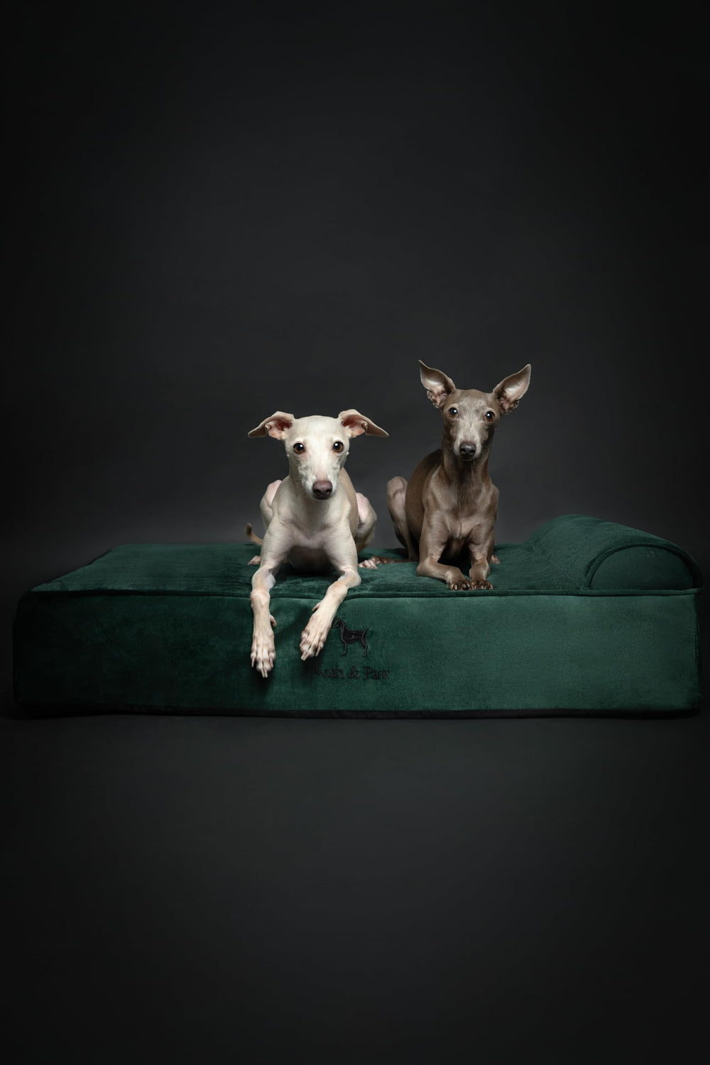 Cama resistente para perros de razas grandes.