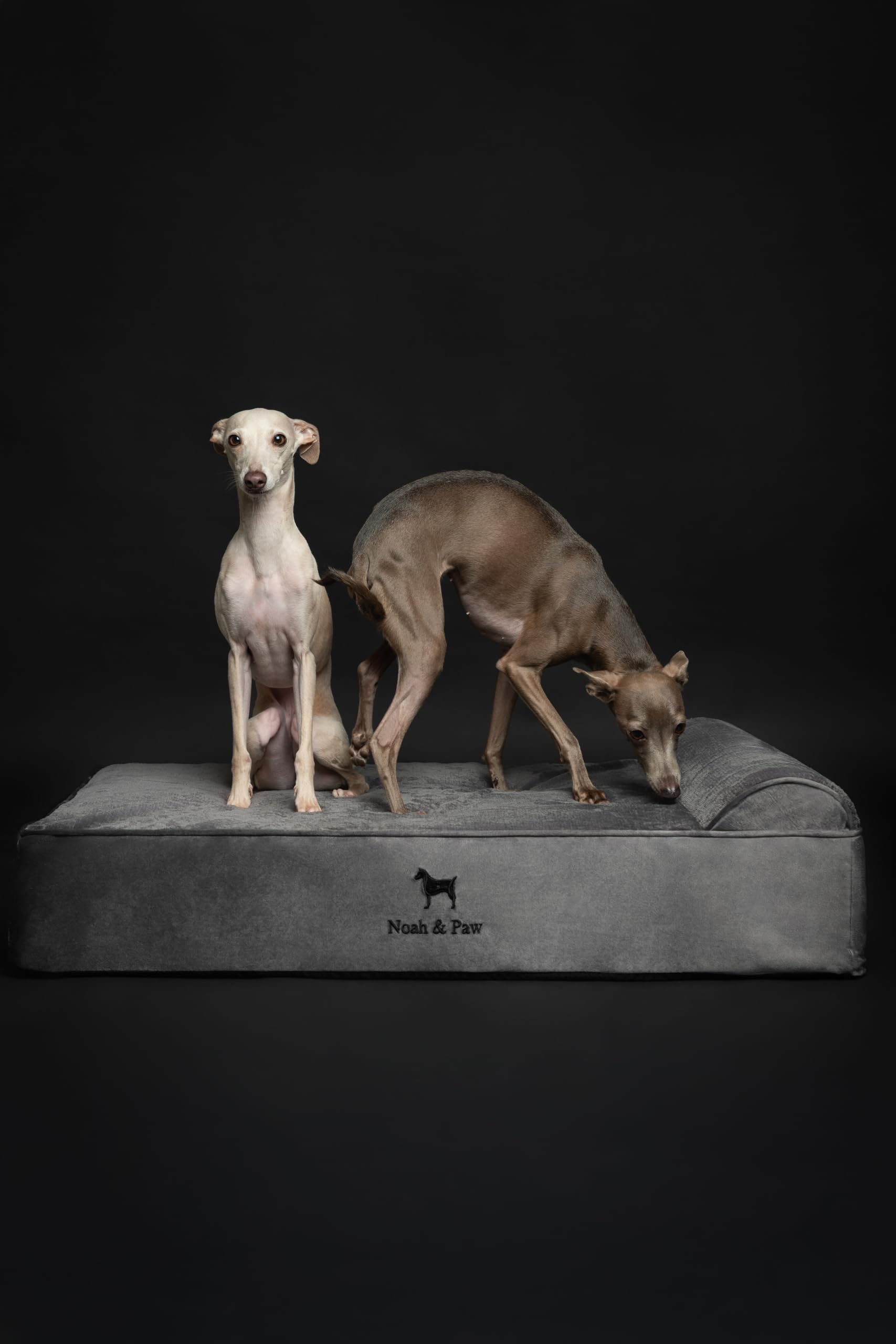 La cama NOAH & PAW recupera su forma en 24-72 horas