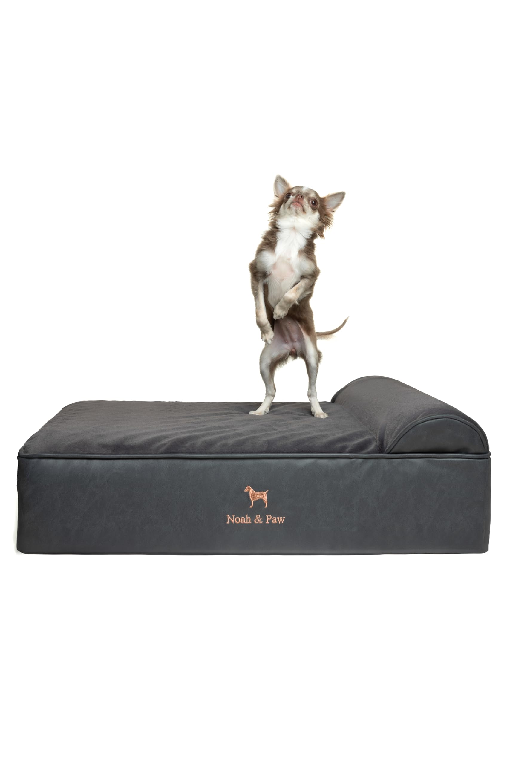 Cama NOAH & PAW ortopédica para perro con base de 6 pulgadas y soporte estable.