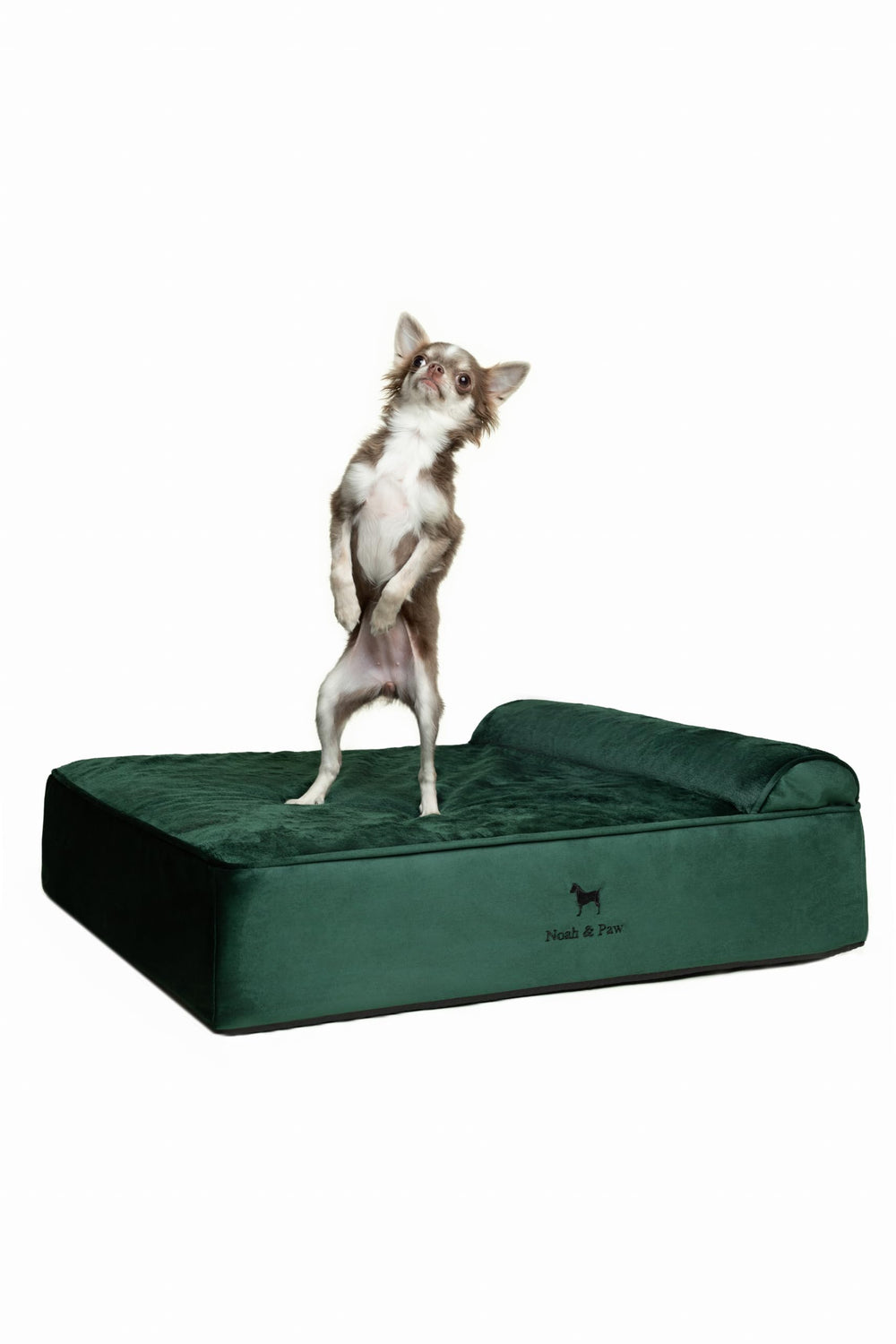 Cama ortopédica NOAH & PAW para perros con base de espuma de 6 pulgadas y soporte estable.