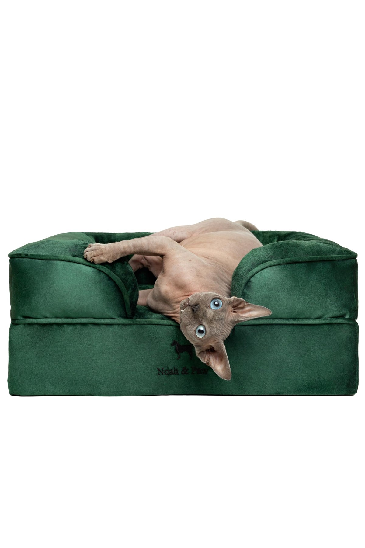 NOAH & PAW cama ortopédica para perros con soporte ergonómico para articulaciones.