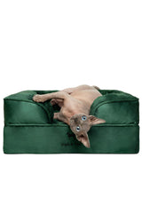 NOAH & PAW cama ortopédica para perros con soporte ergonómico para articulaciones.