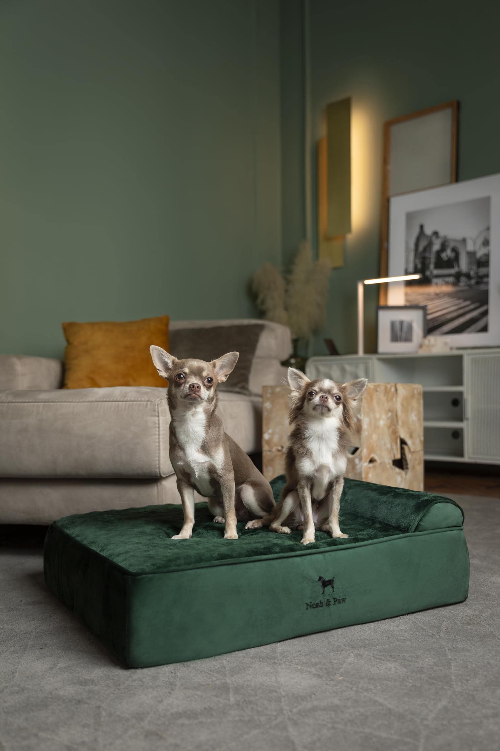 Cama NOAH & PAW con espuma memoria y gel enfriante para confort prolongado.
