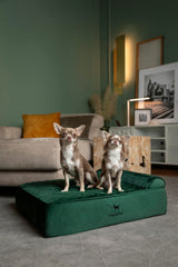 Cama NOAH & PAW con espuma memoria y gel enfriante para confort prolongado.