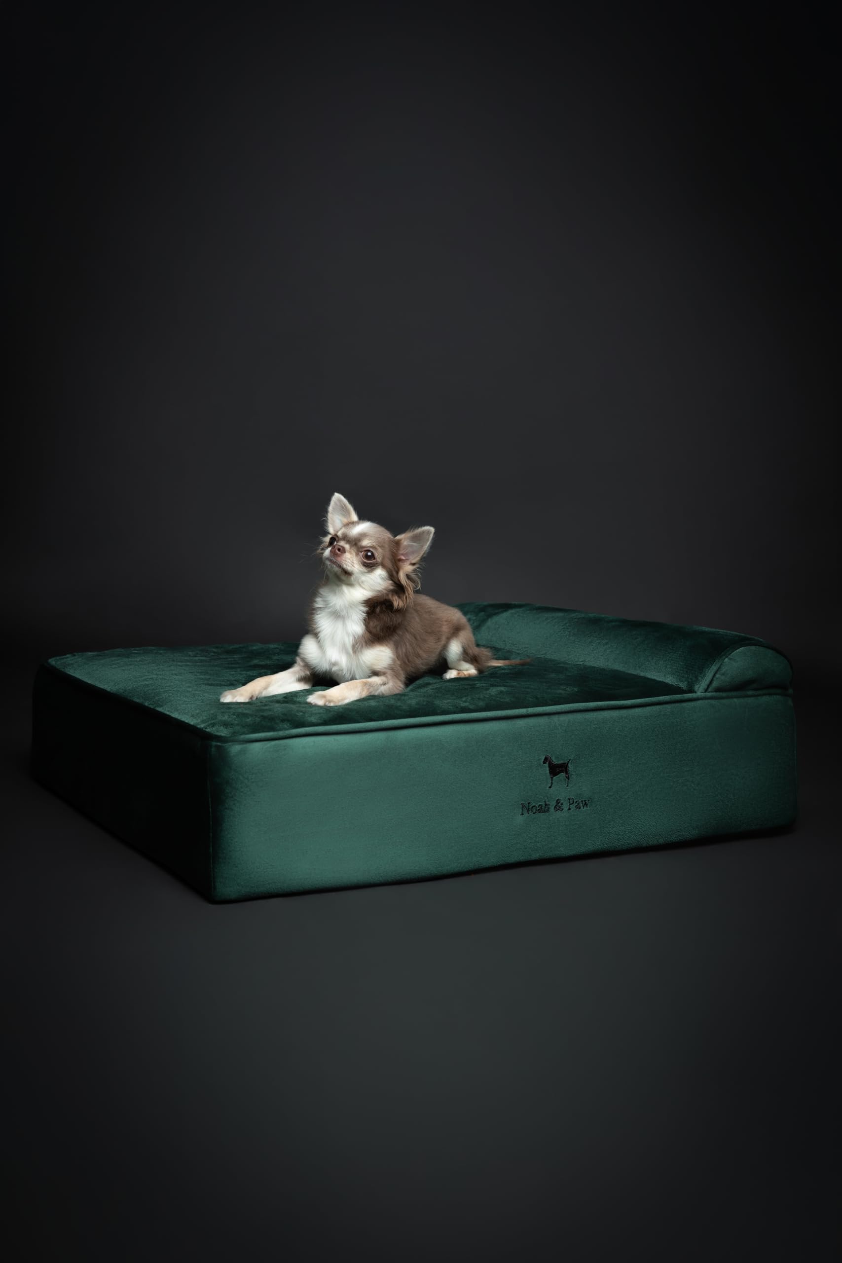 Cama impermeable para evitar manchas y líquidos indeseados.