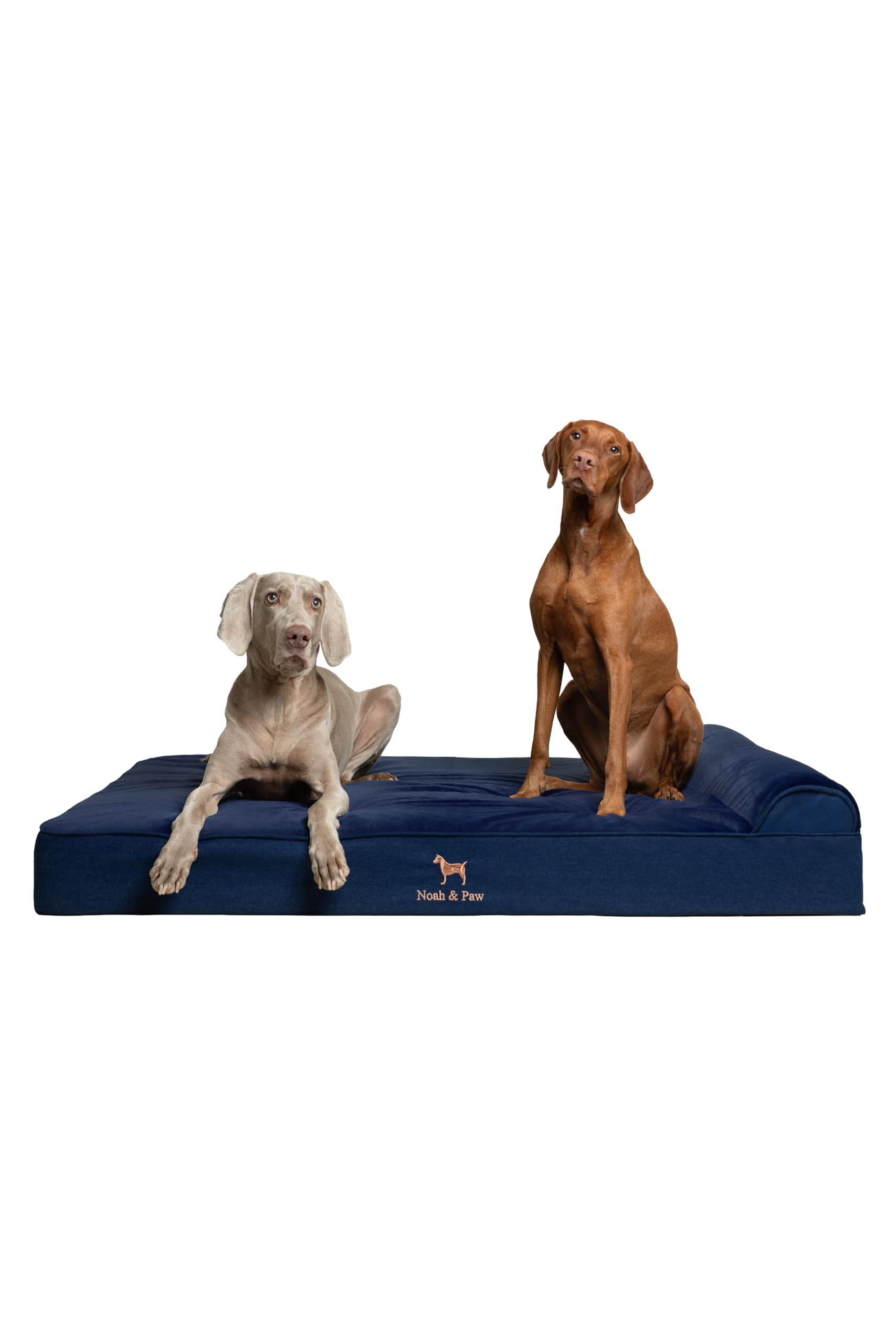 NOAH & PAW cama ortopédica XXL para perros grandes con soporte.