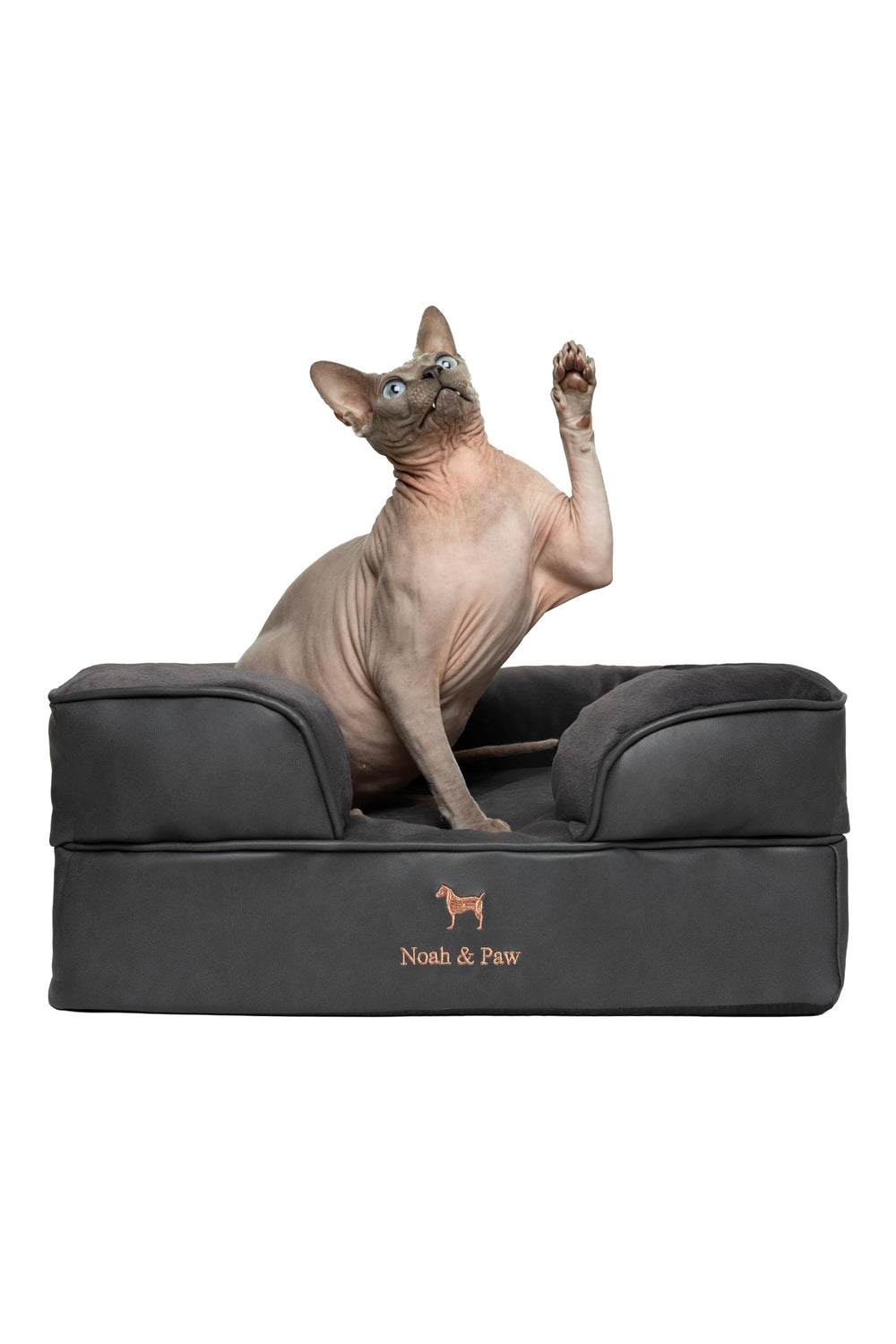 Cama NOAH & PAW para perro pequeño con soporte ortopédico y acolchado cómodo