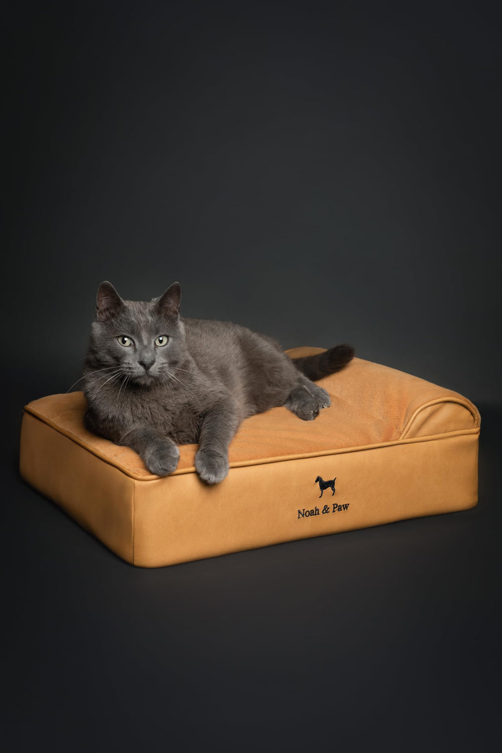 Cama NOAH Y PAW para perros pequeños con cubiertas impermeables para limpiar fe1cilmente.