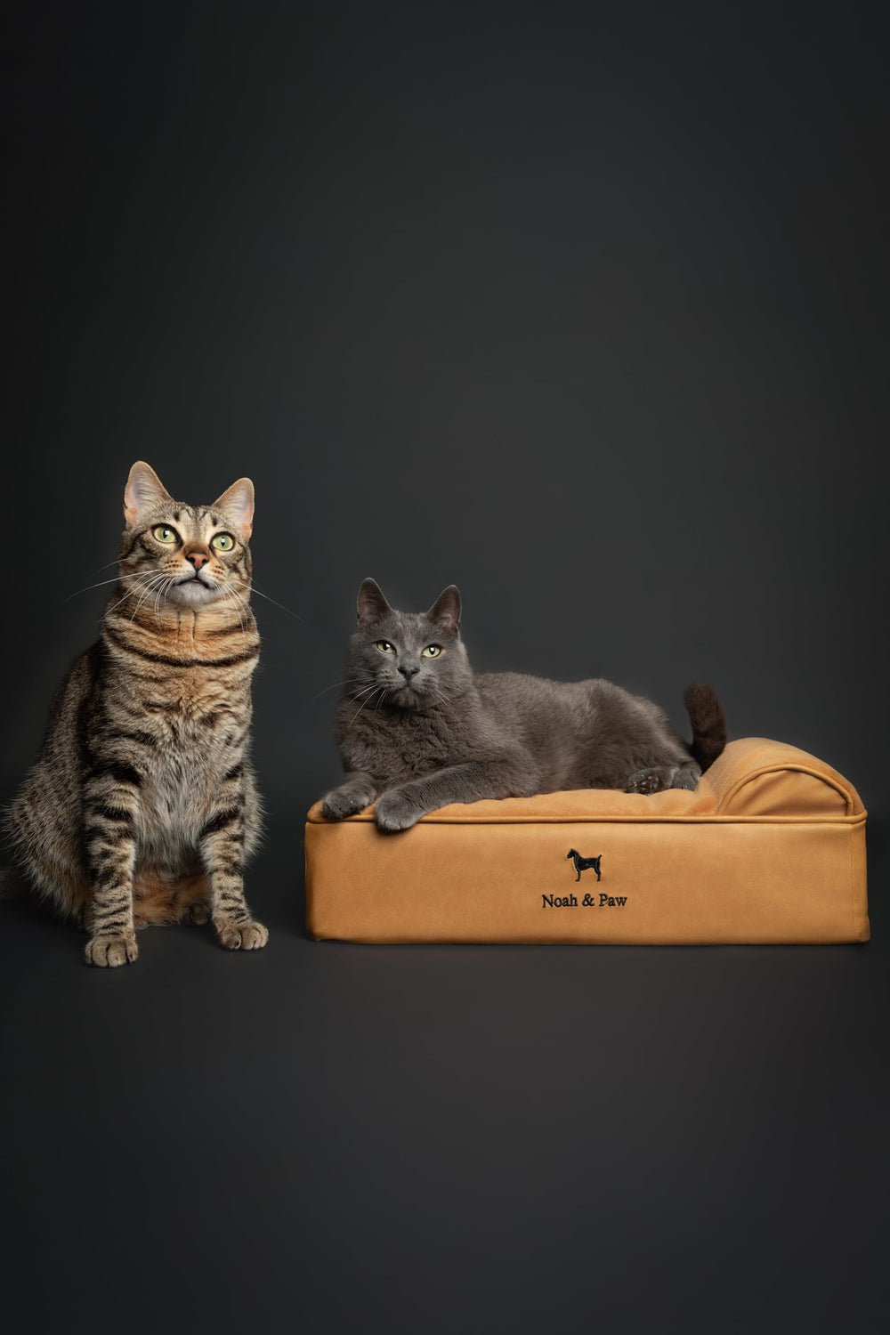 Cama NOAH Y PAW con espuma memoria y gel refrescante para mayor confort.