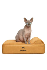 Cama ortope9dica NOAH Y PAW para perro pequeo con base gruesa que ofrece soporte.