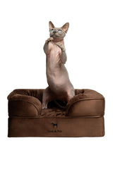 Cama ortopédica NOAH & PAW para perros pequeños, soporte y confort
