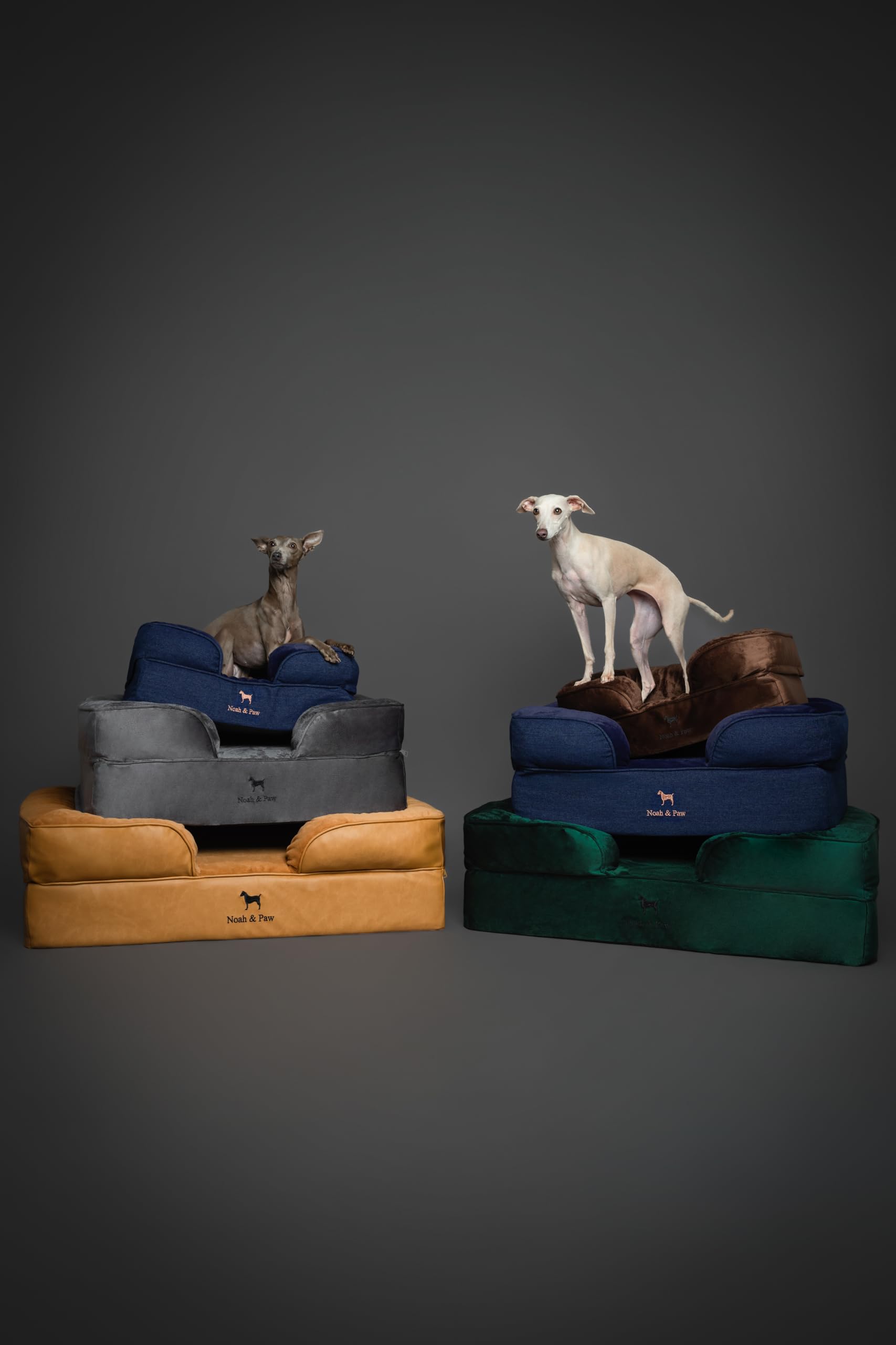 Cama NOAH & PAW ideal para uso diario en sala de estar.