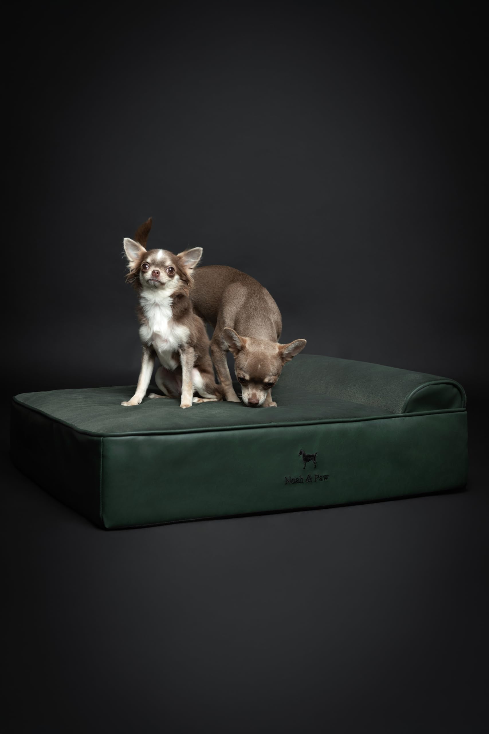NOAH & PAW cama adecuada para uso diario de perros medianos a grandes