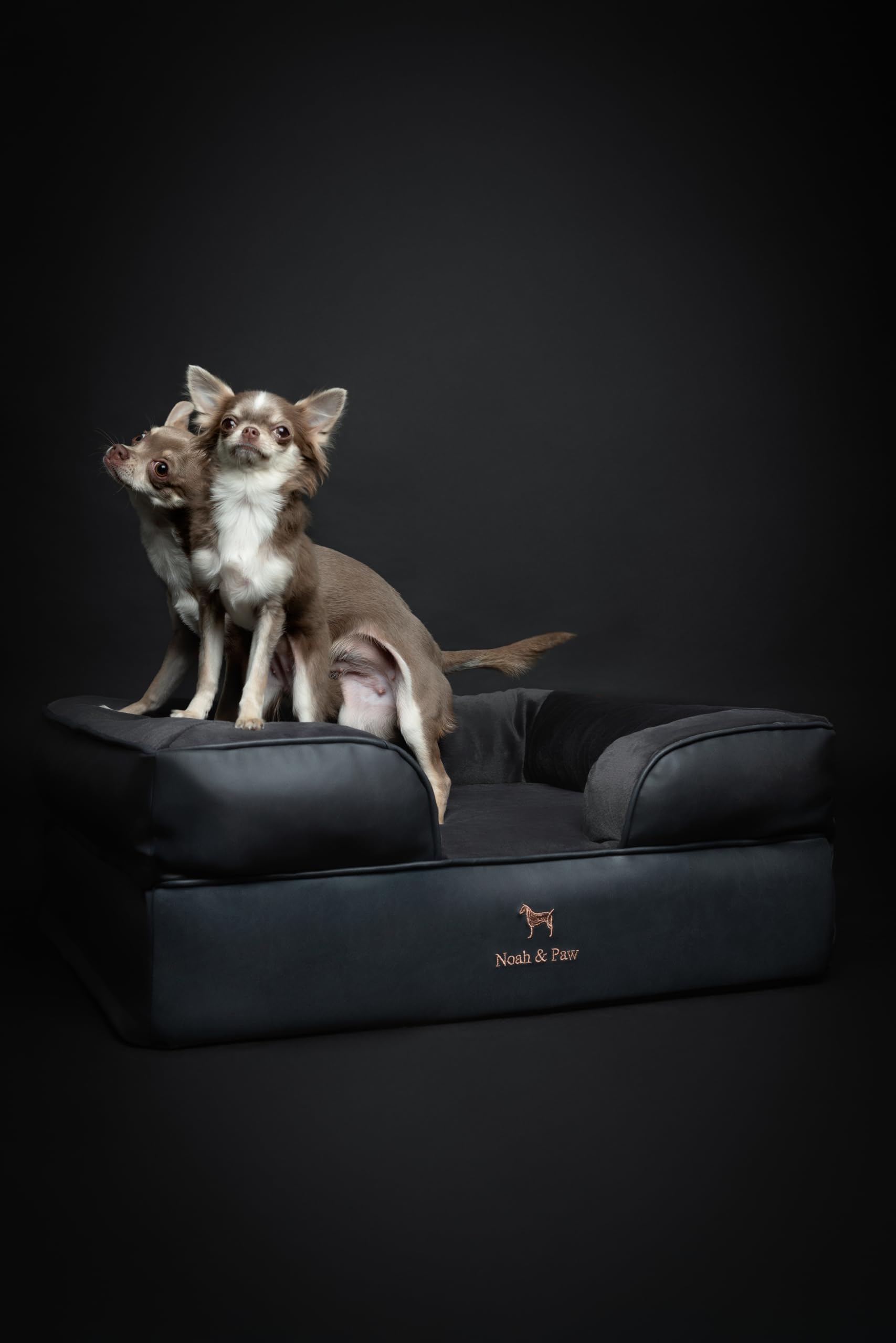 Cama NOAH & PAW con cubierta exterior lavable para limpieza fácil.