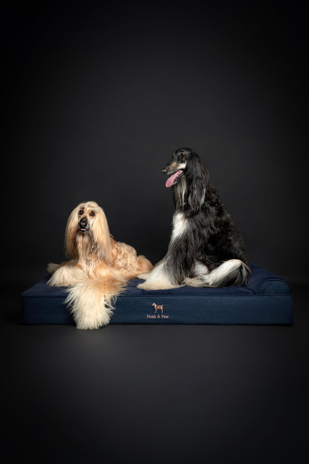 NOAH & PAW tamaño XXL ideal para perros grandes.