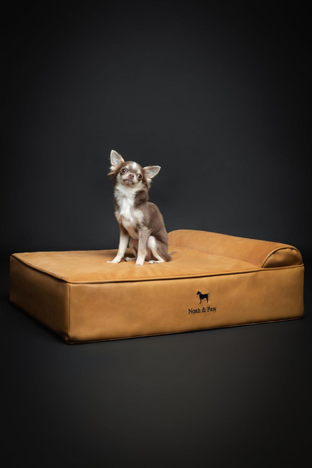 NOAH & PAW diseño ergonómico para perros medianos.