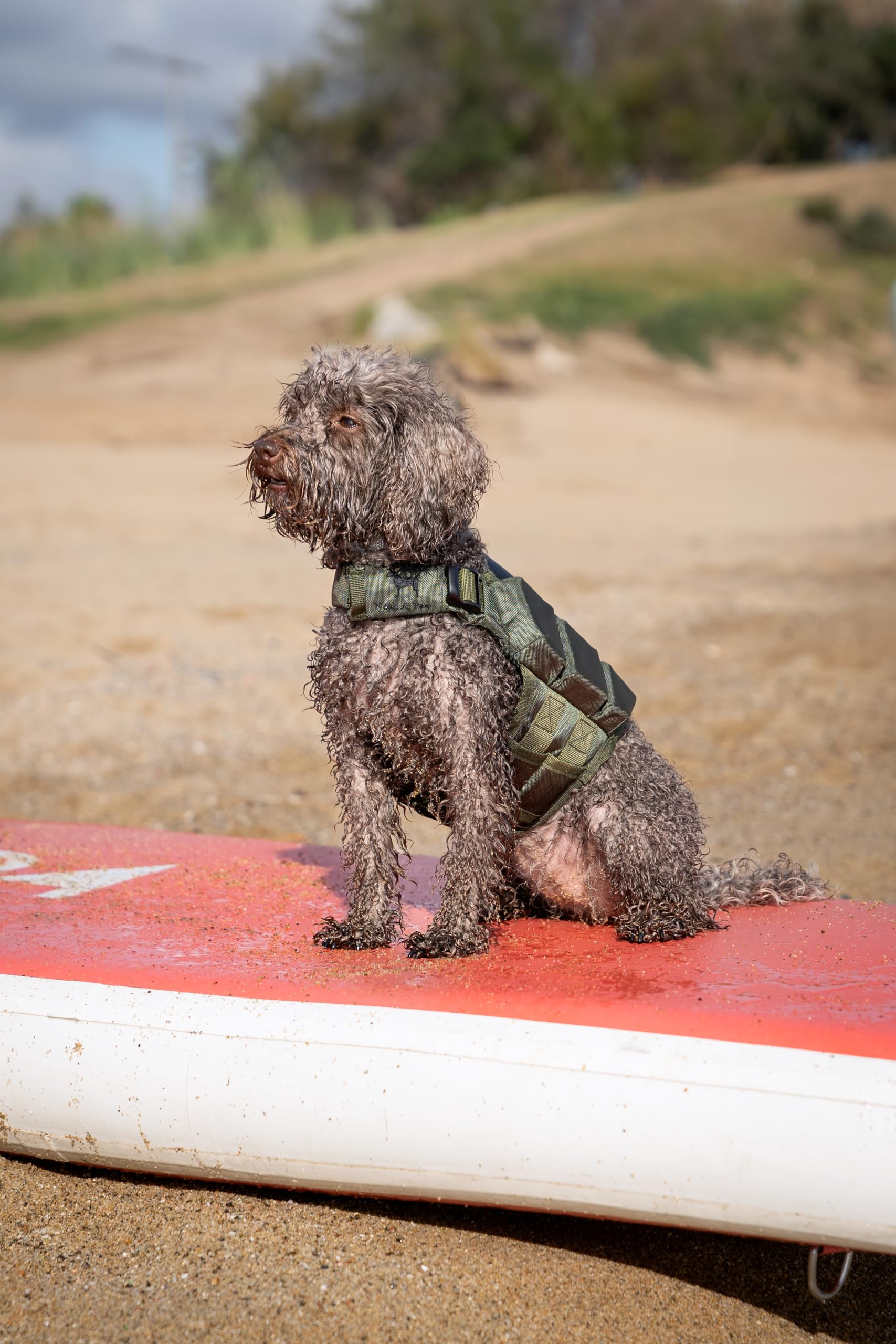 NOAH & PAW diseño adaptable para perros de múltiples tamaños y razas