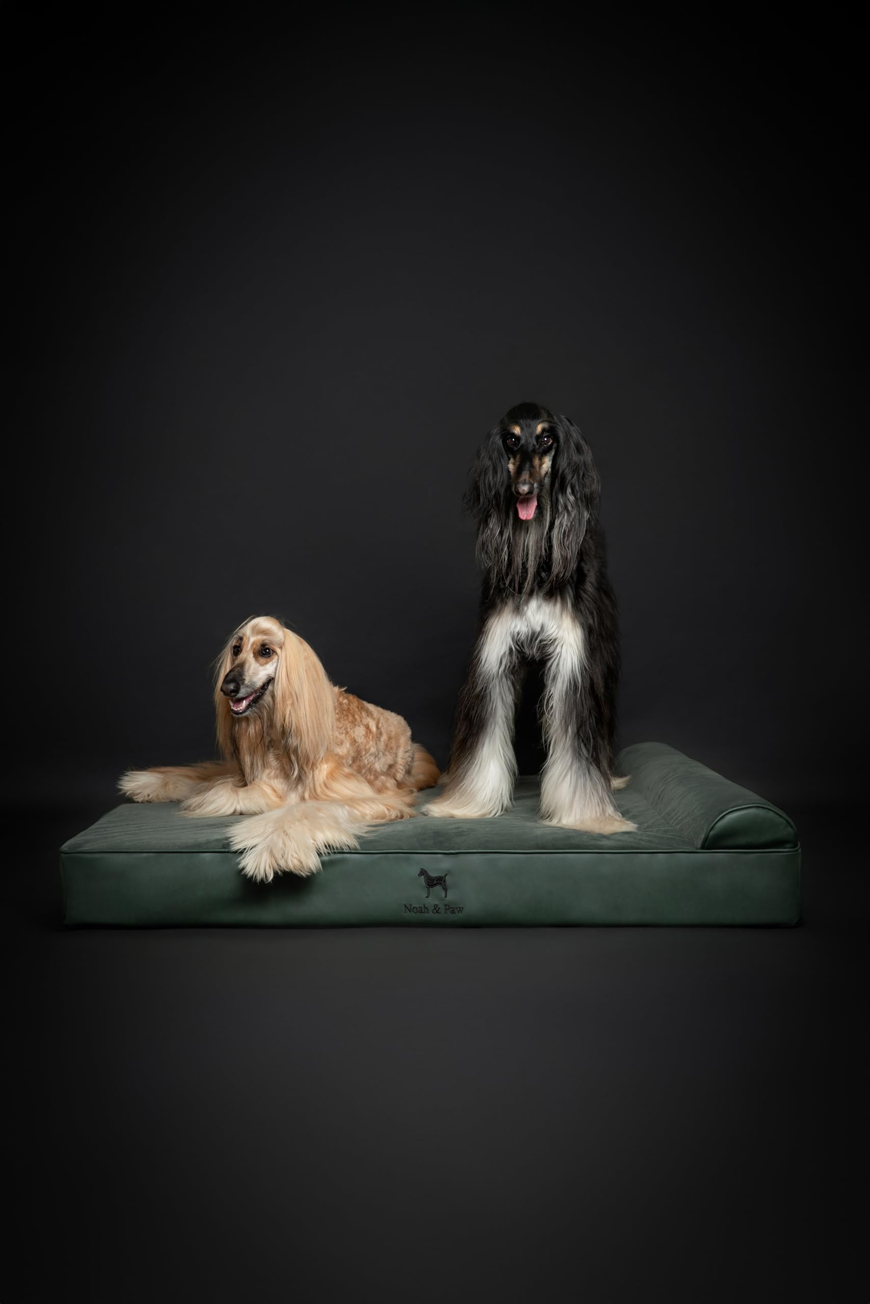 NOAH & PAW diseño ergonómico para perros grandes