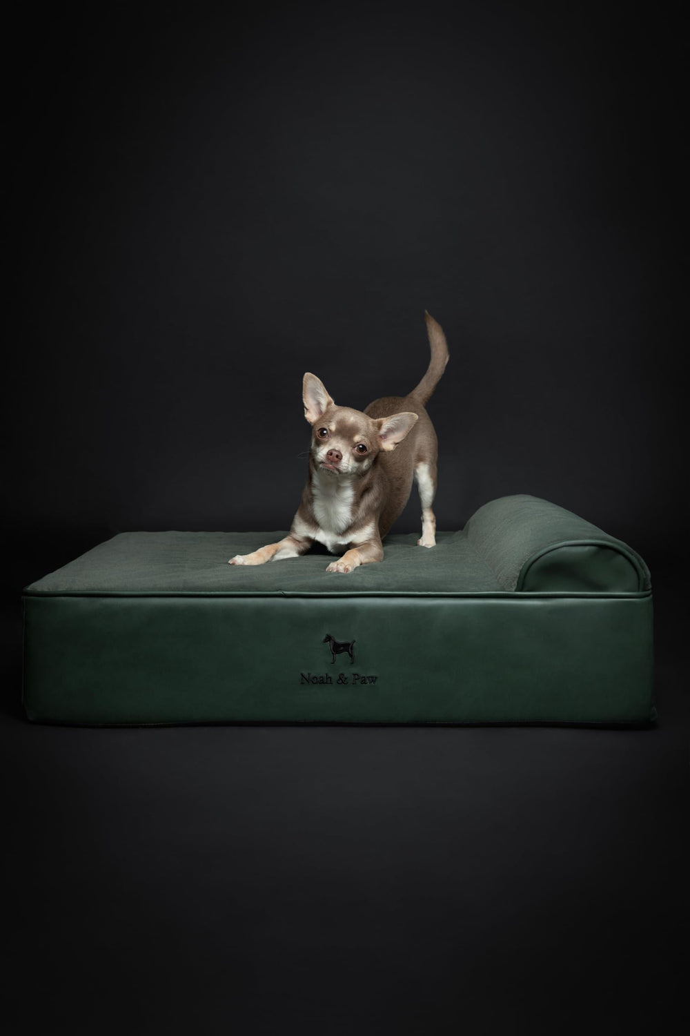 NOAH & PAW diseño ortopédico para postura equilibrada
