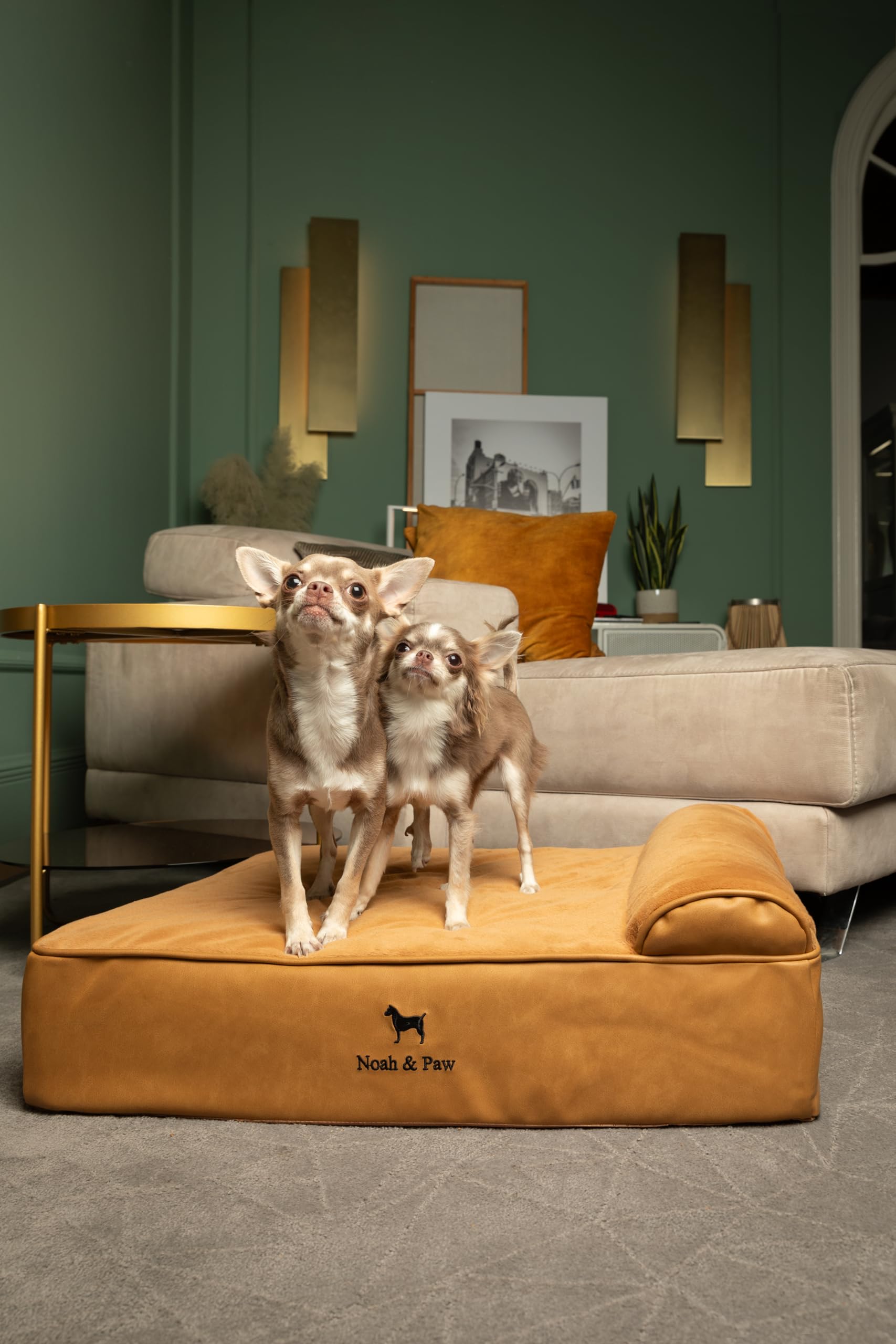 NOAH & PAW espuma-memoria-gel-refrescante para perro.