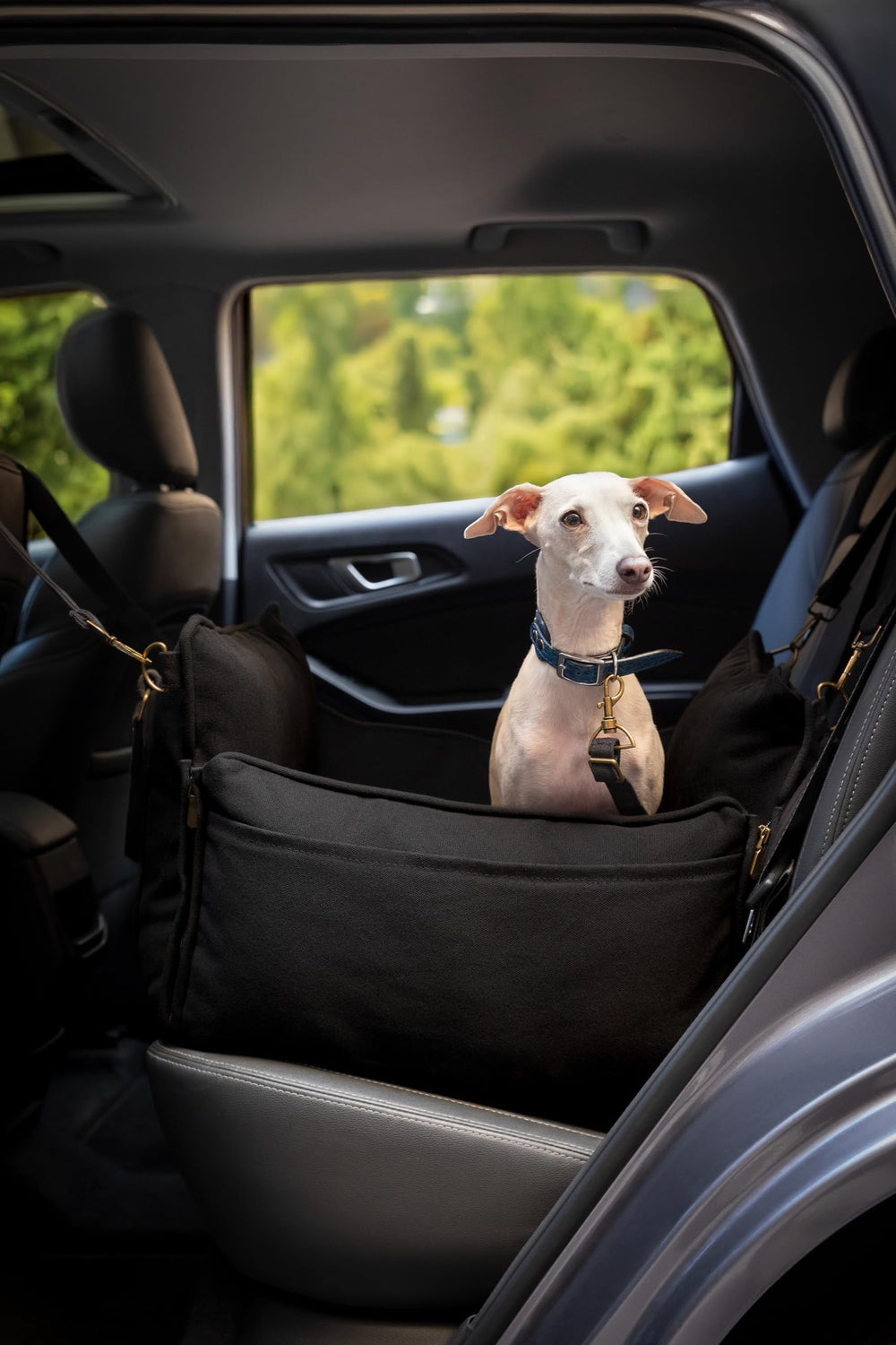 NOAH & PAW exterior de canvas impermeable para uso al aire libre