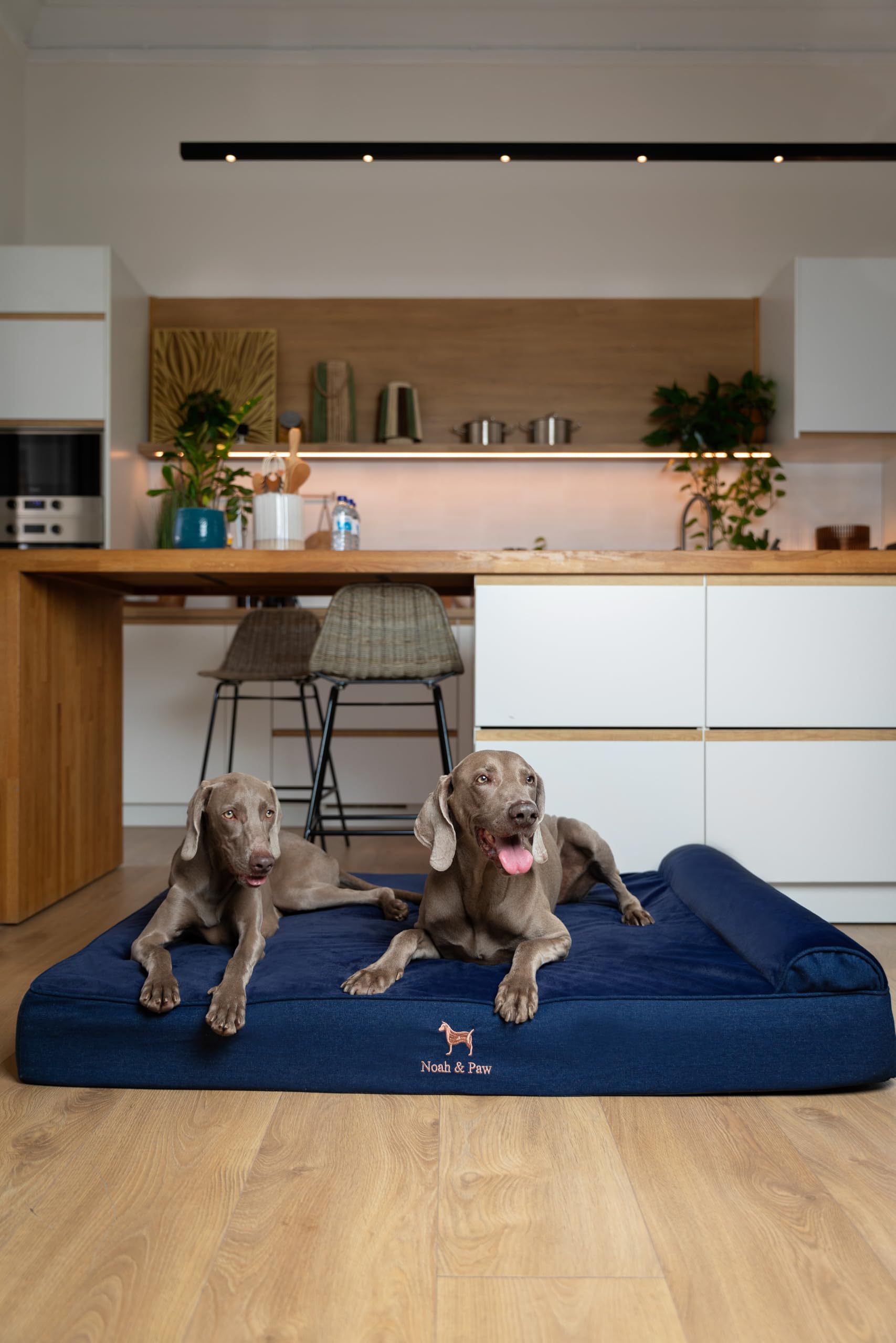 NOAH & PAW funda exterior impermeable e interior lavable.