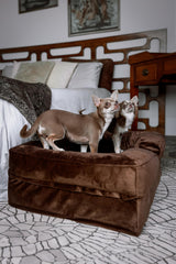 NOAH & PAW funda interior impermeable protege la espuma