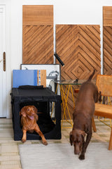 Funda Oxford 900D resistente Noah & Paw con refuerzos integrados.