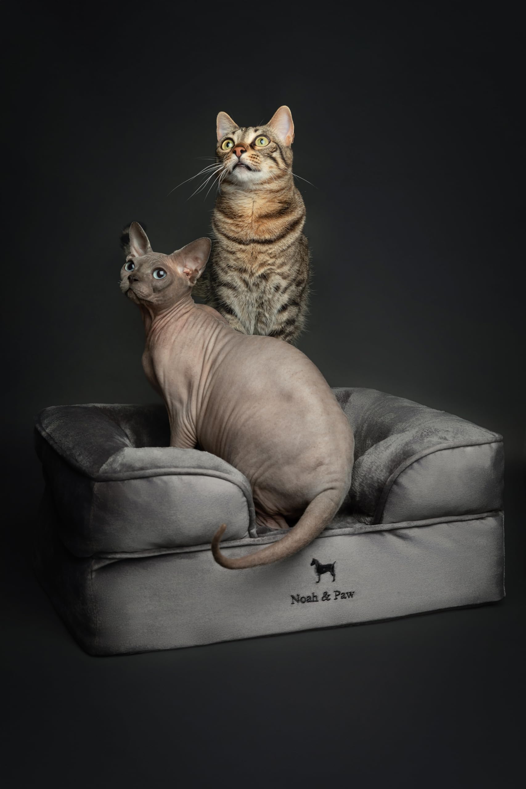 Núcleo de tres capas NOAH & PAW ofrece soporte estable para la espalda.