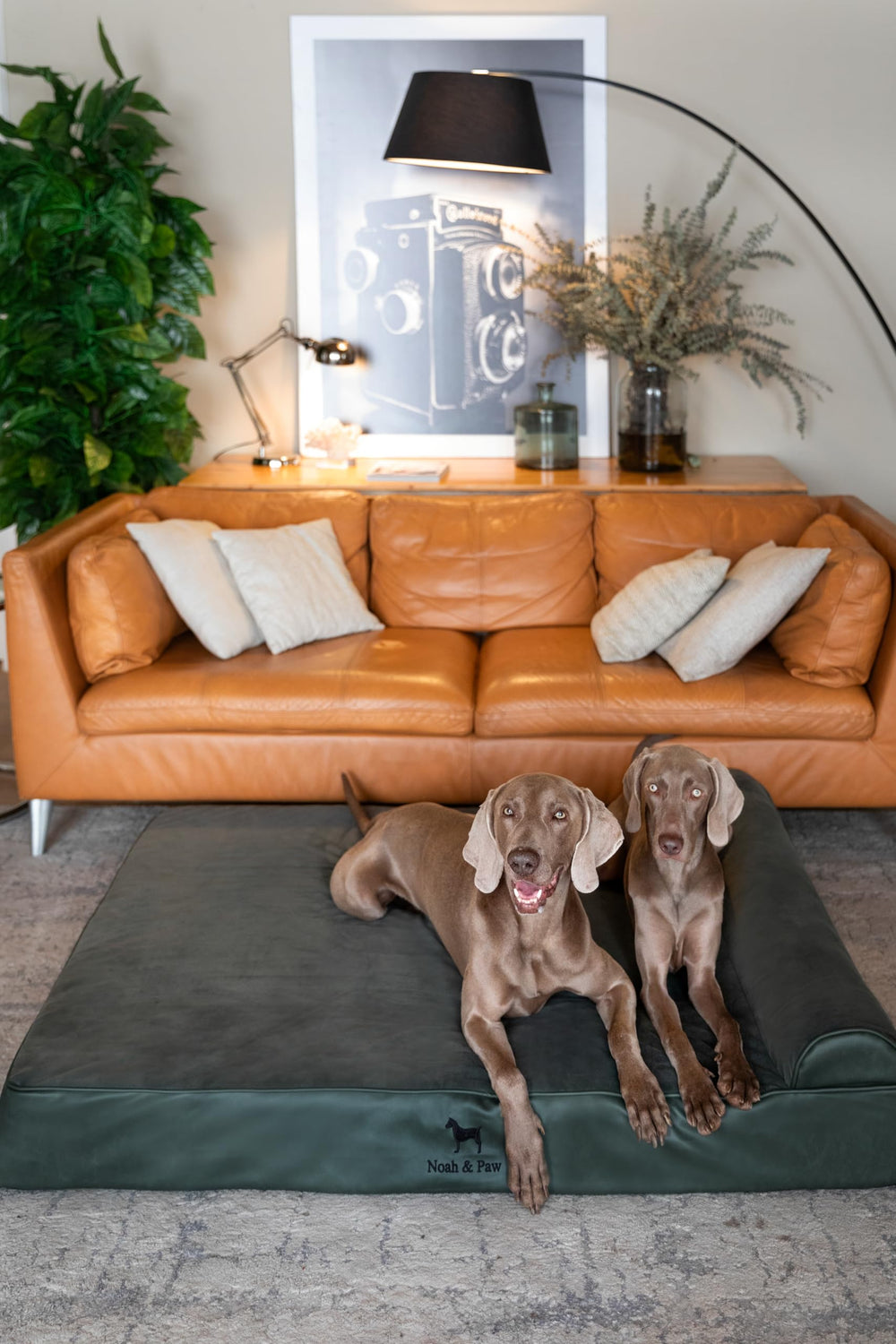 NOAH & PAW sistema de doble coberturas lavables
