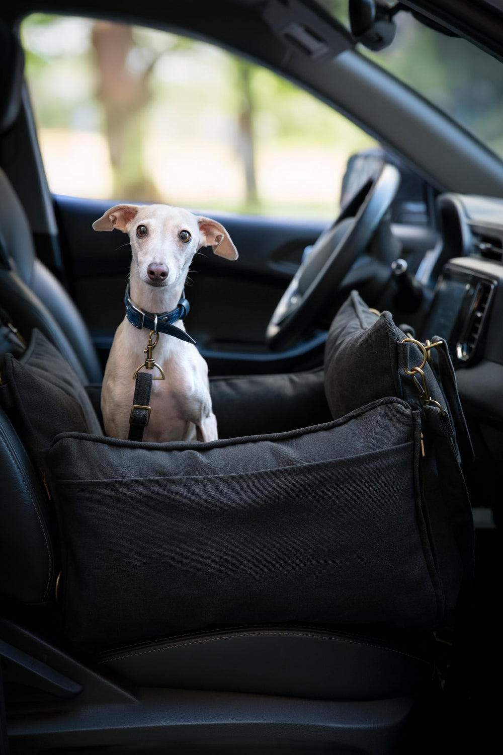 NOAH & PAW sistema de seguridad 4x en asiento para perros