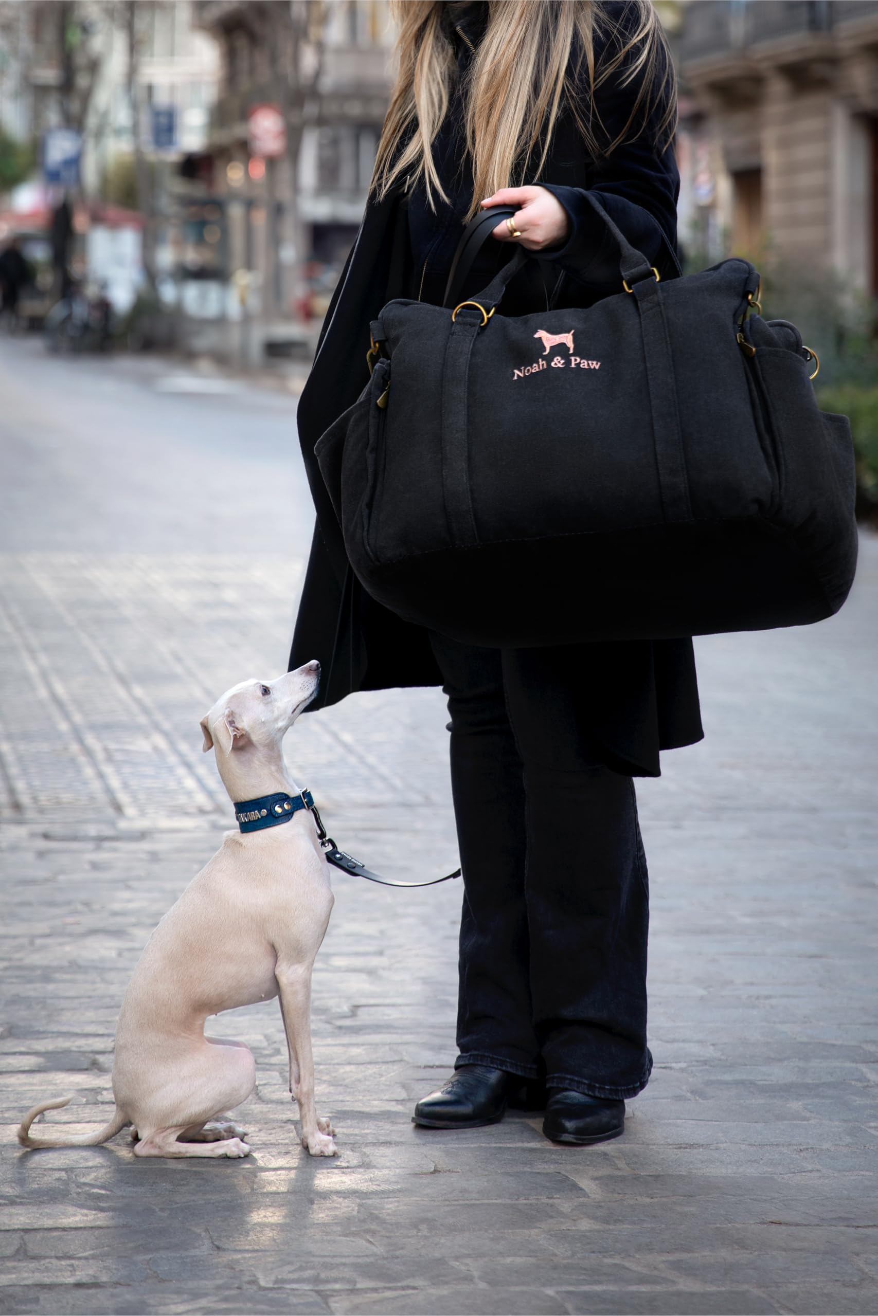 Sistema de seguridad 4x de Noah & Paw protege al compañero canino