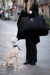 Sistema de seguridad 4x de Noah & Paw protege al compañero canino