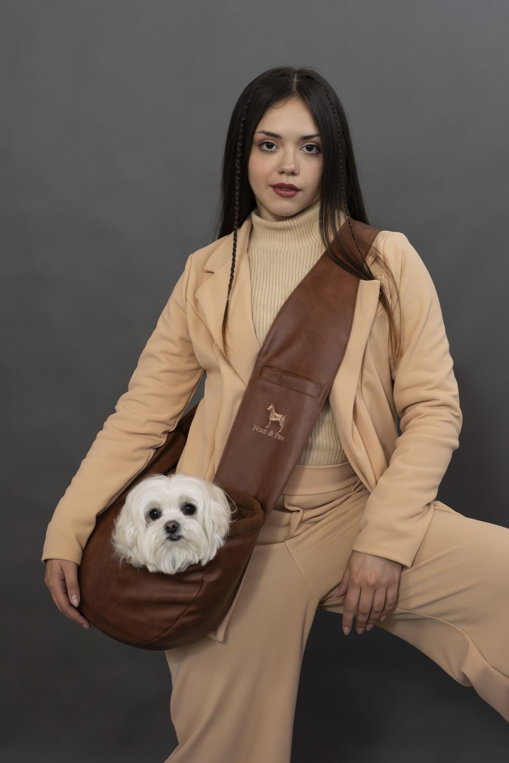 Noah & Paw: soporte seguro para mascotas de 3 a 10 lb durante salidas.