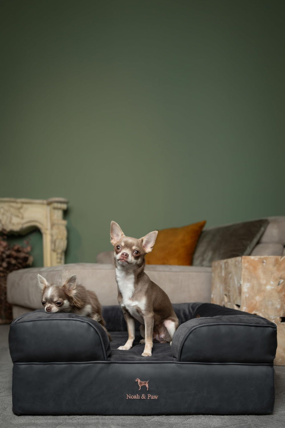 Cama NOAH & PAW adecuada para perros mayores con soporte gradual.