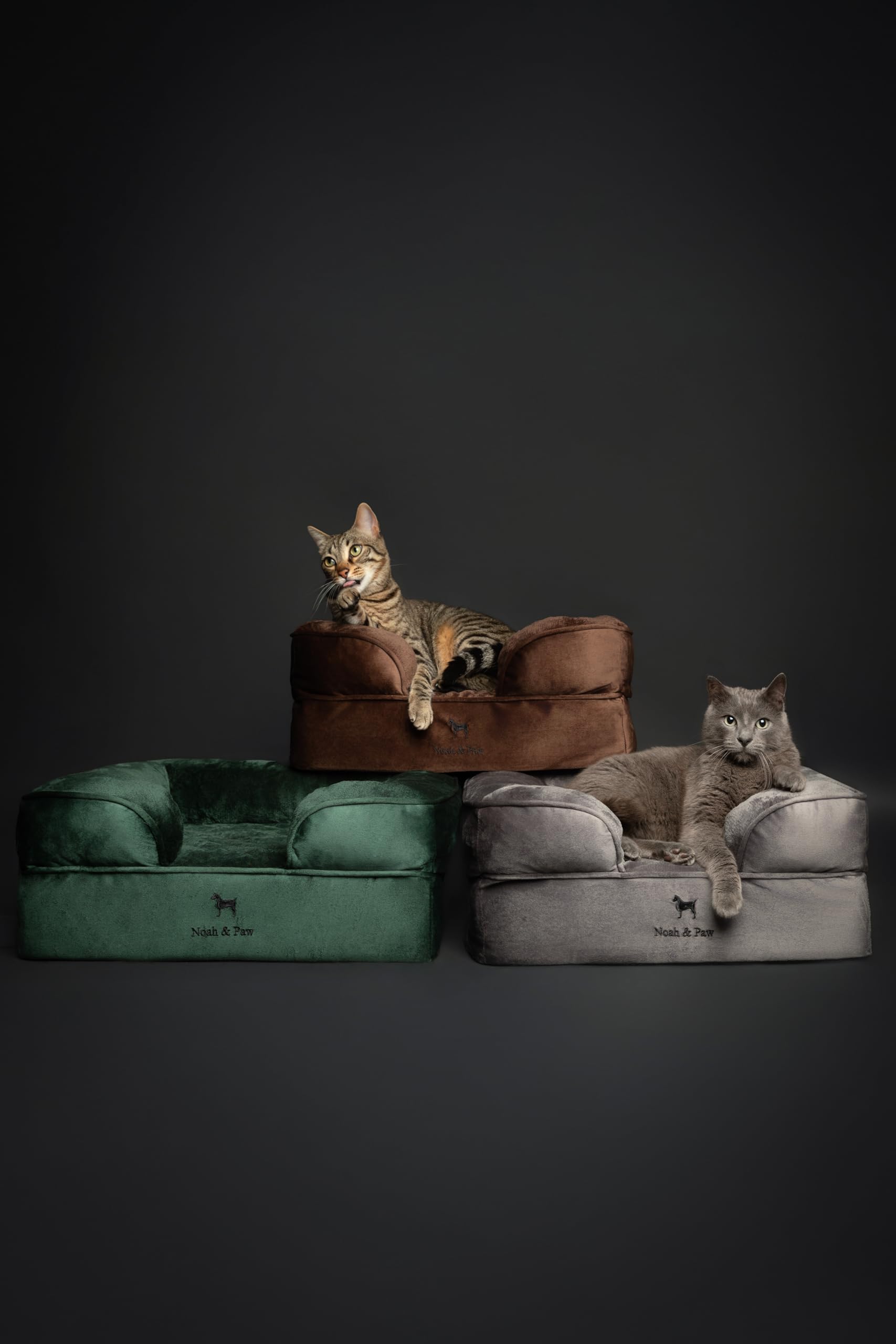 Tamaño compacto 20x15x8 pulgadas, ideal para gatos y perros pequeños.