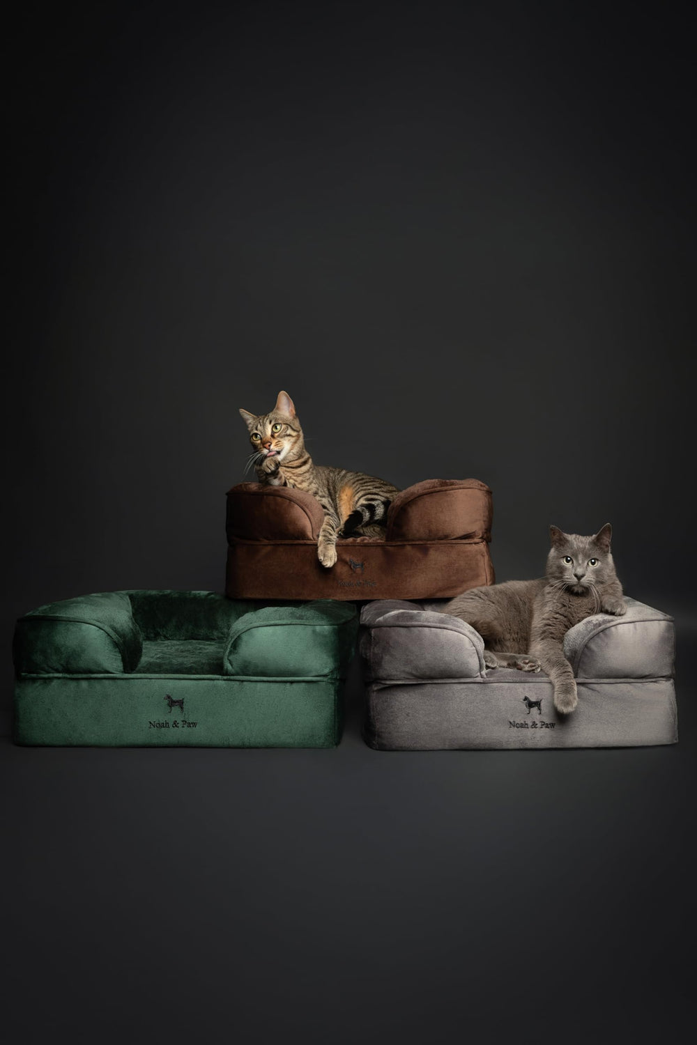 Tamaño compacto 20x15x8 pulgadas, ideal para gatos y perros pequeños.