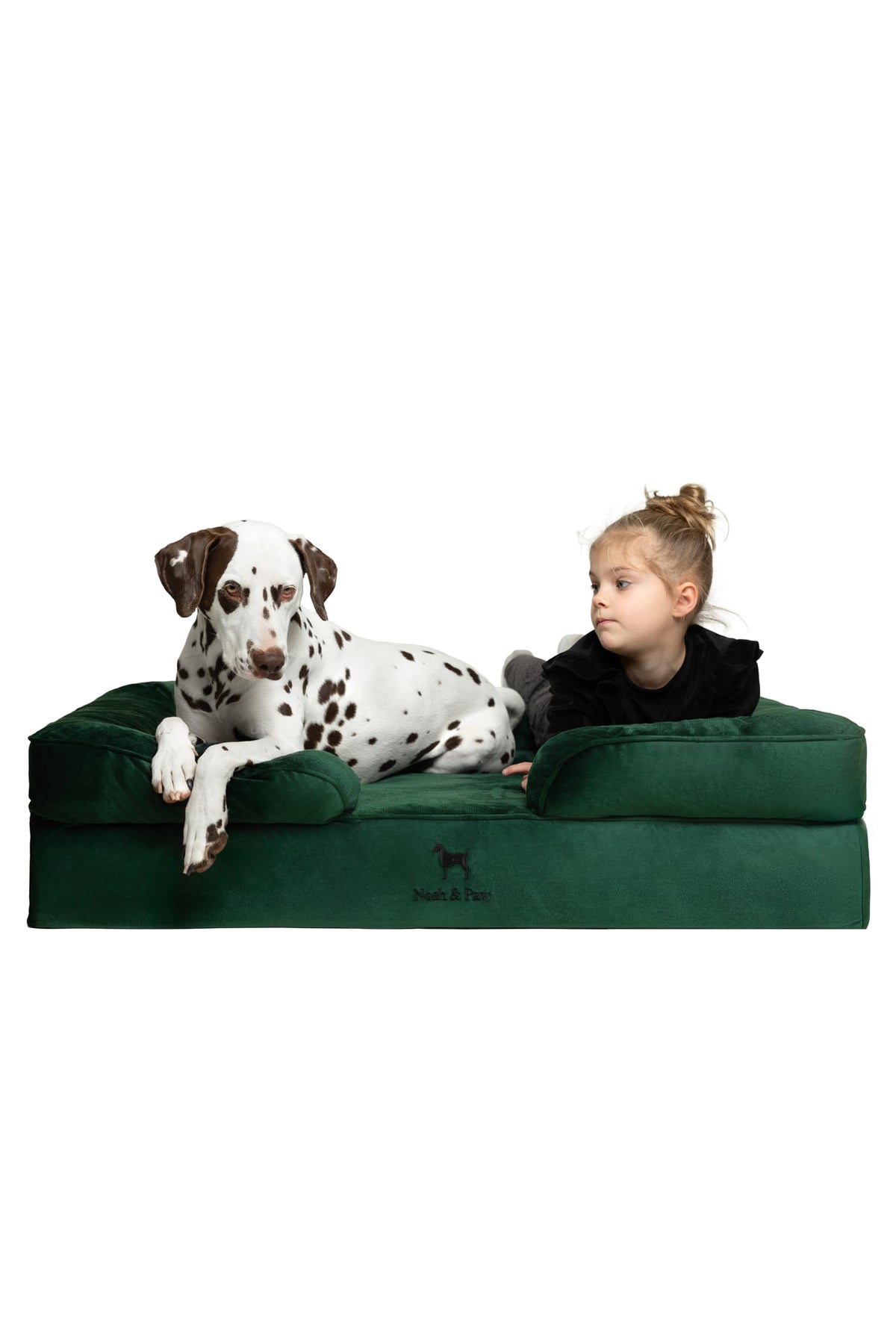 NOAH & PAW XL: vista general de la cama ortopédica para perros grandes.