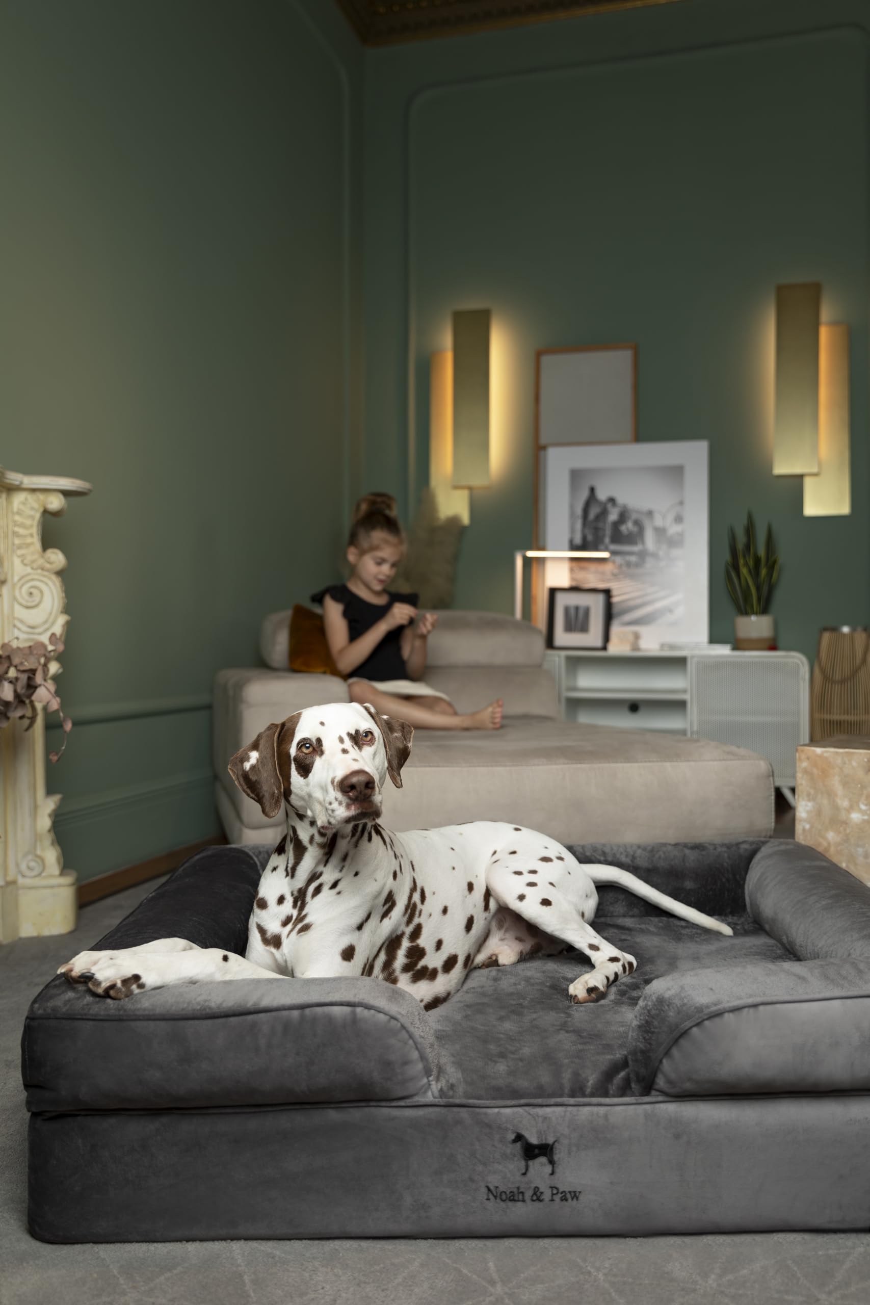 NOAH & PAW XL cierre ergonómico para uso diario