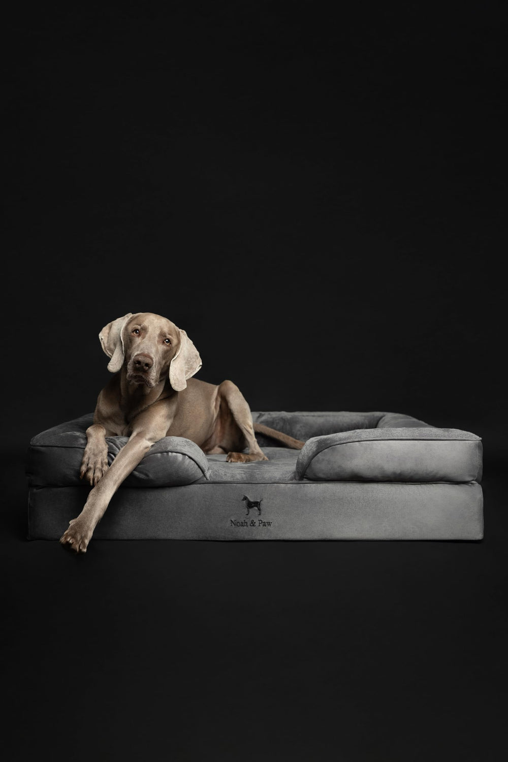 NOAH & PAW XL cubierta interna lavable para fácil limpieza
