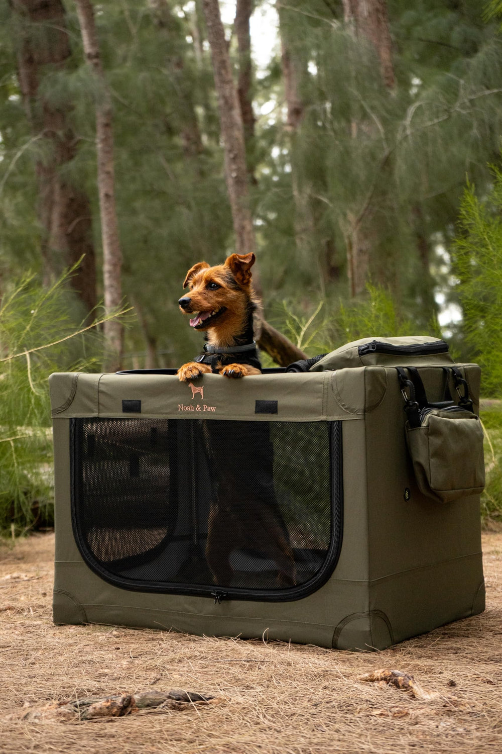 Asas durables para transporte seguro de la jaula NOAH & PAW.